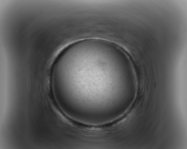 X0000086031503200703301043