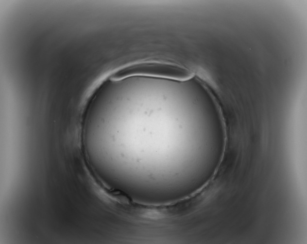 X0000086031504200703301043