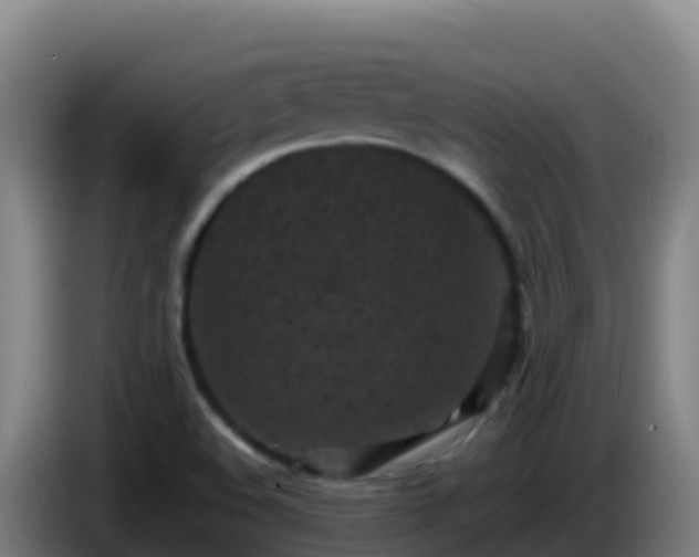 X0000086031508200703301043