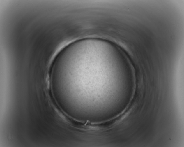 X0000086031509200703301043
