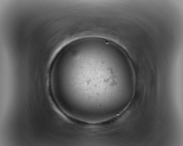 X0000086031511200703301043