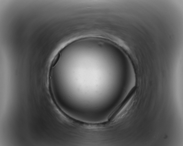 X0000086031512200703301043