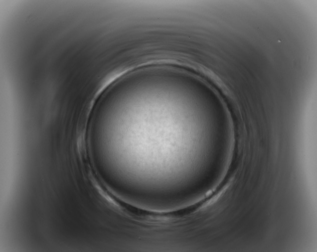 X0000086031513200703301043