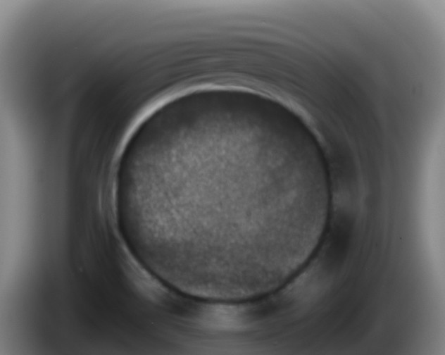 X0000086031514200703301043