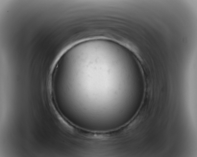 X0000086031516200703301043