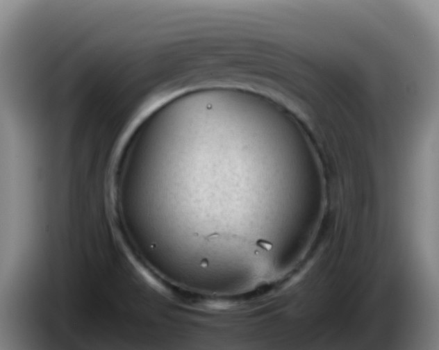 X0000086031517200703301043