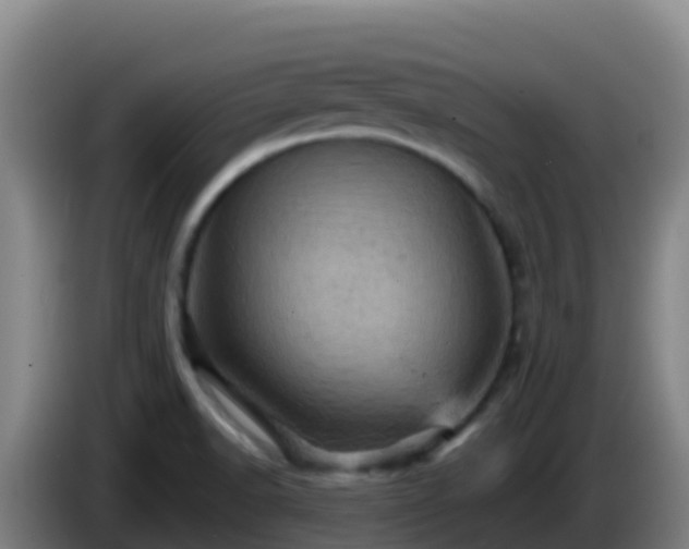 X0000086031518200703301043