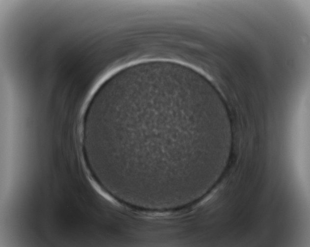 X0000086031519200703301043