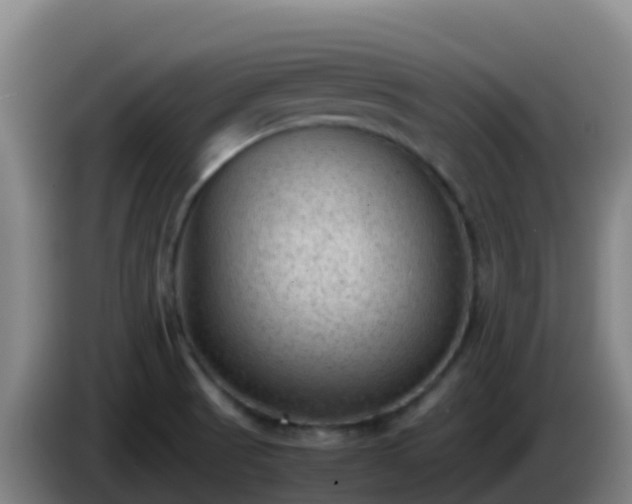 X0000086031521200703301043