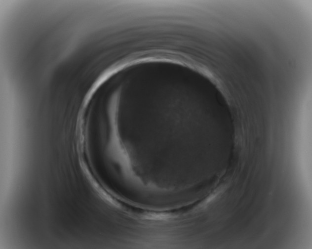 X0000086031522200703301043