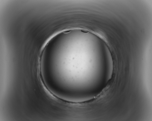 X0000086031524200703301043