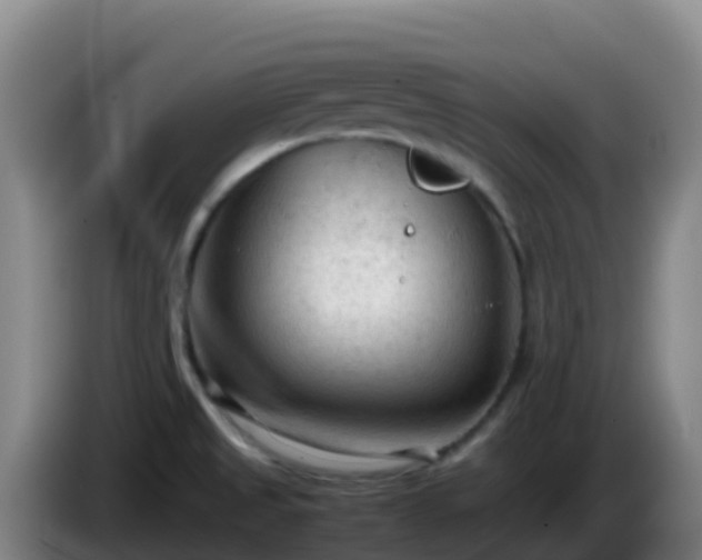 X0000086031525200703301043
