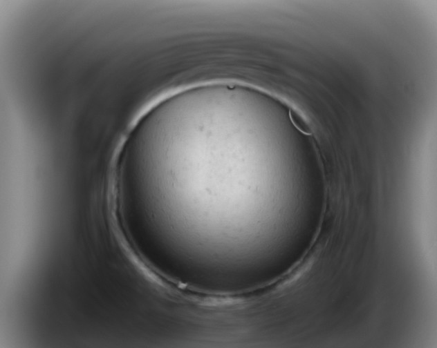 X0000086031526200703301043