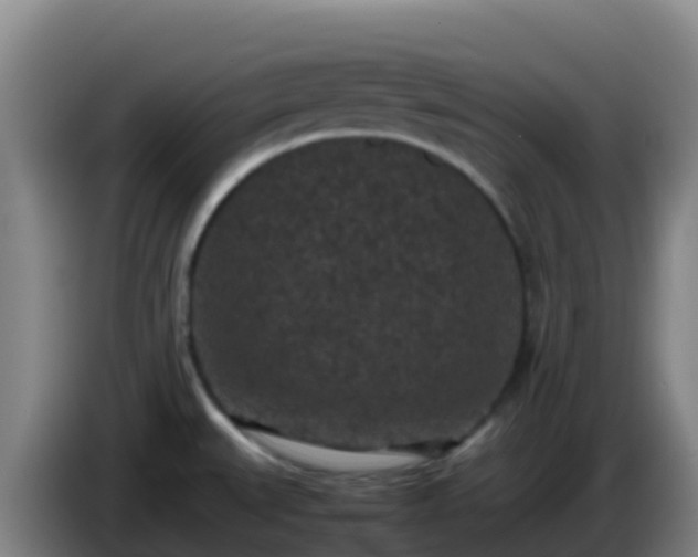 X0000086031527200703301043