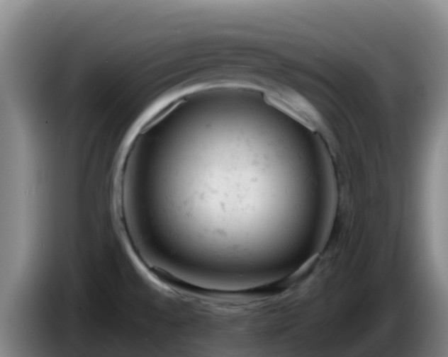 X0000086031528200703301043