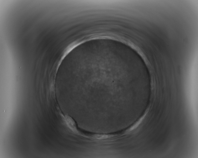 X0000086031529200703301043