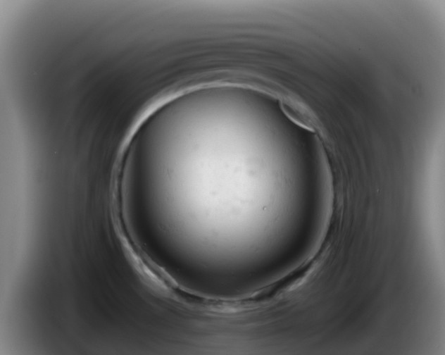X0000086031530200703301043