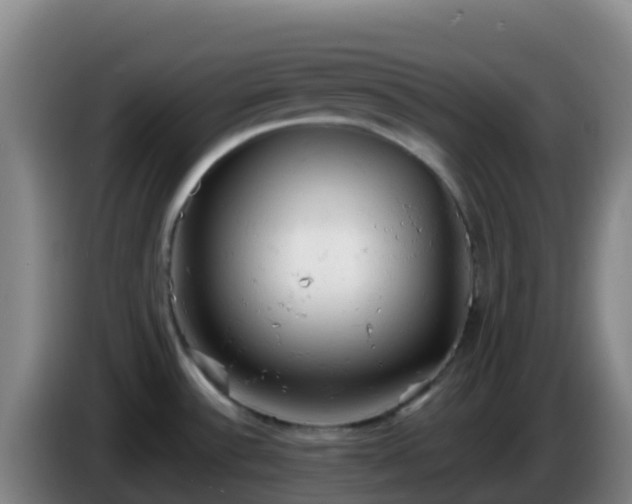 X0000086031532200703301043
