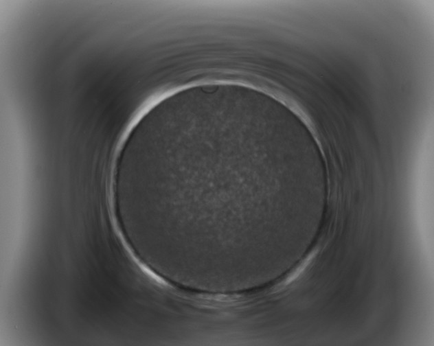 X0000086031533200703301043