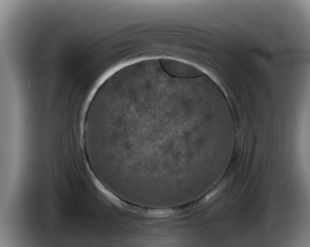 X0000086031535200703301043