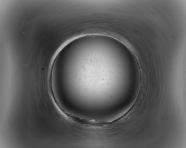 X0000086031536200703301043