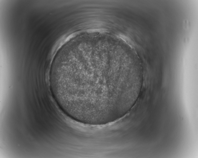 X0000086030002200704091141