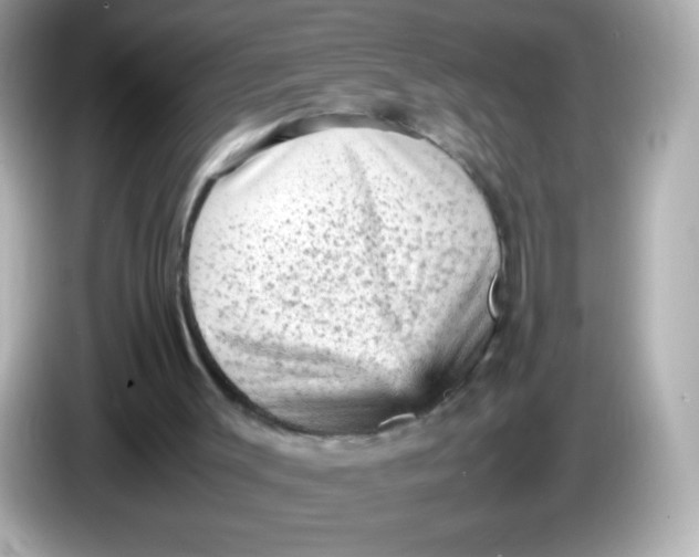 X0000086030003200704091141