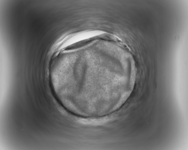 X0000086030005200704091141