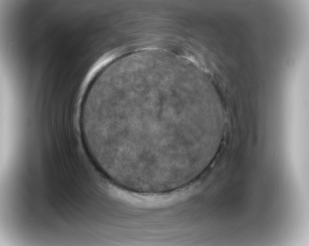 X0000086030006200704091141