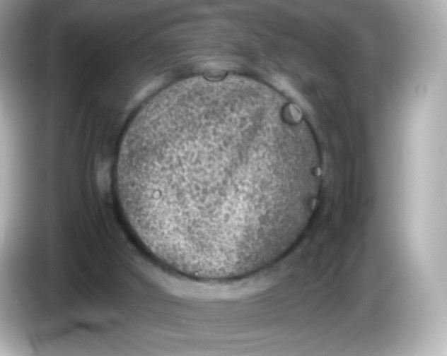 X0000086030010200704091141