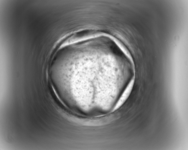 X0000086030011200704091141