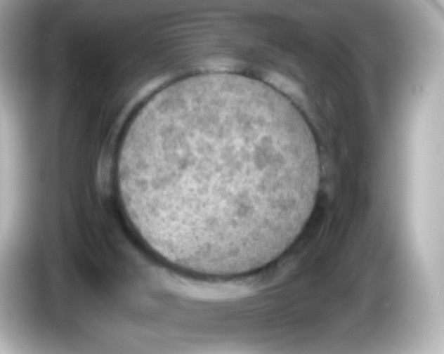 X0000086030012200704091141