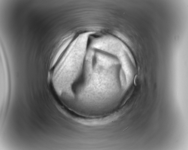 X0000086030013200704091141