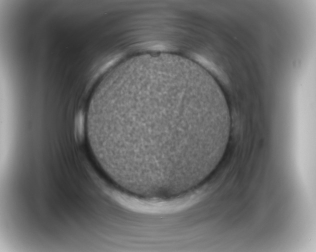 X0000086030014200704091141