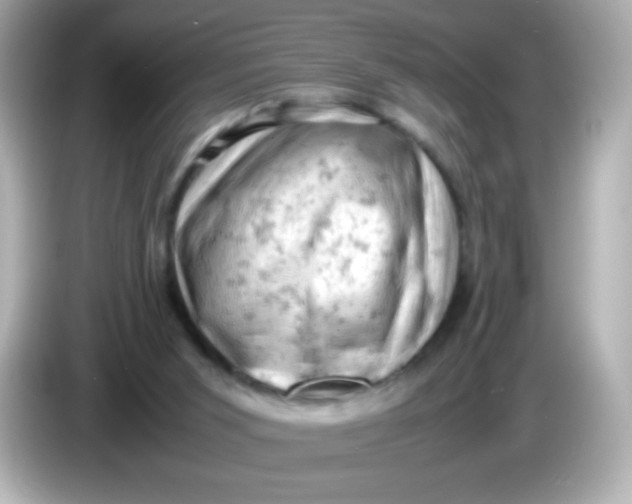 X0000086030015200704091141