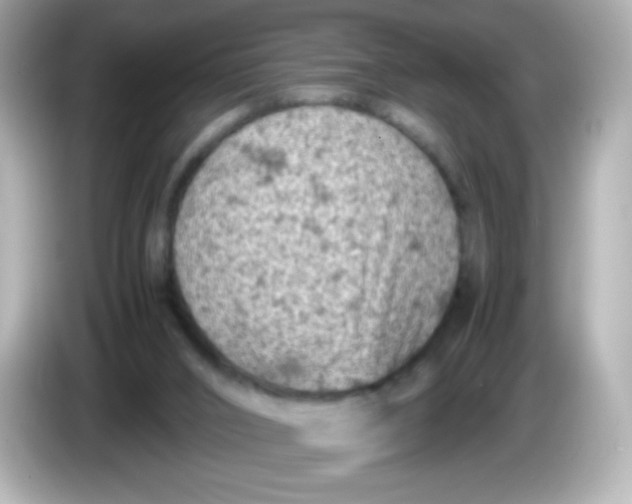 X0000086030016200704091141