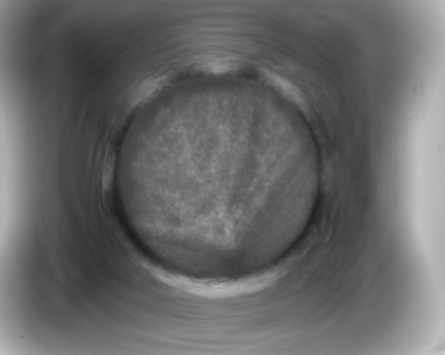 X0000086030018200704091141