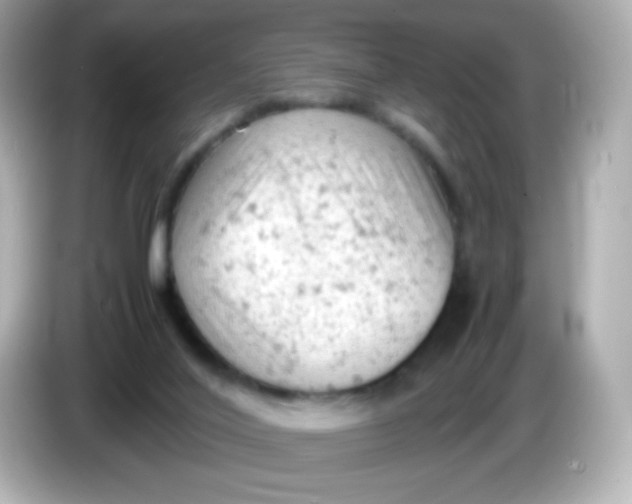 X0000086030020200704091141