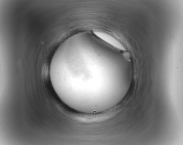 X0000086030021200704091141