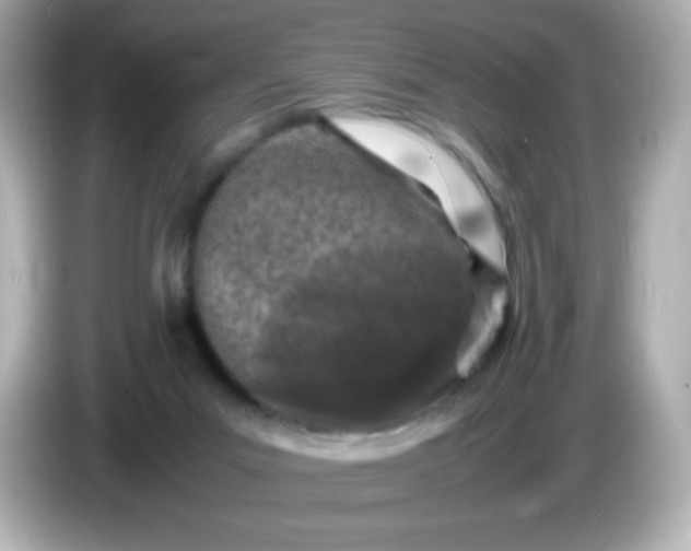 X0000086030023200704091141