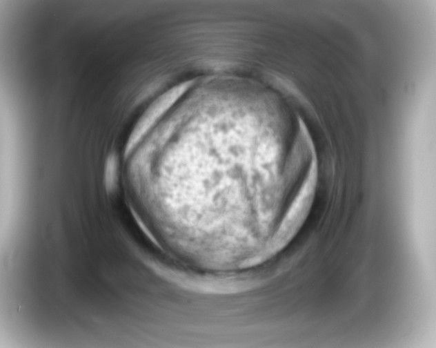 X0000086030024200704091141