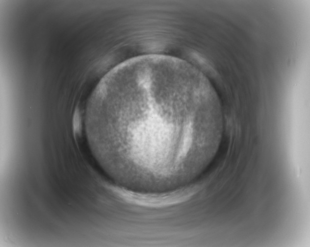 X0000086030026200704091140