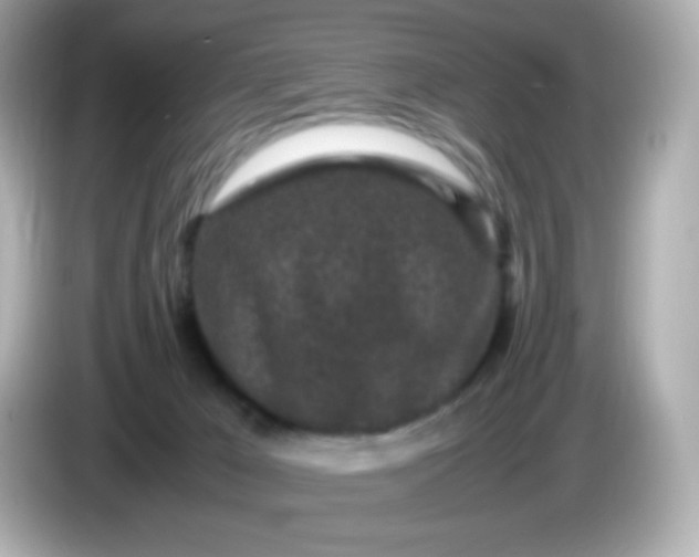 X0000086030029200704091140