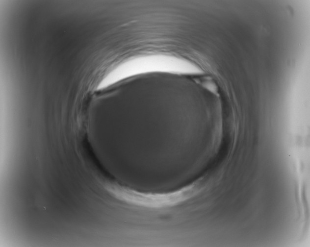 X0000086030031200704091140