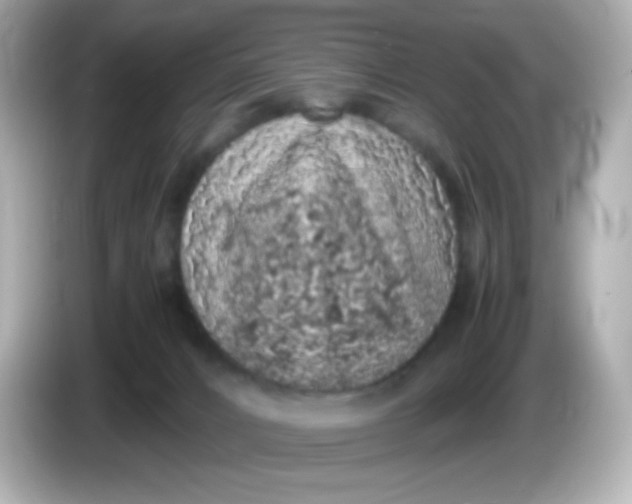 X0000086030032200704091140