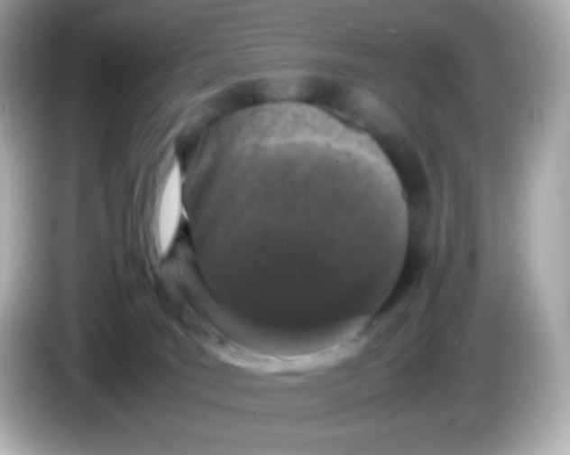 X0000086030035200704091140