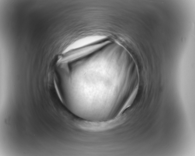 X0000086030037200704091140