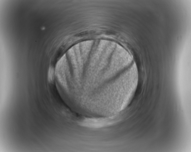 X0000086030041200704091140