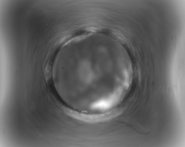 X0000086030043200704091140