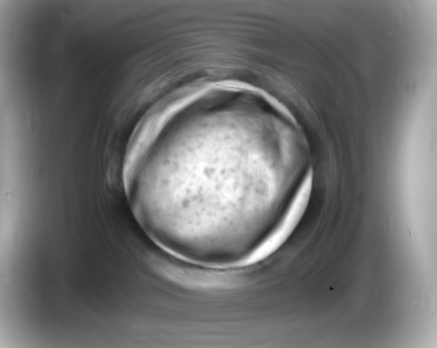 X0000086030044200704091140